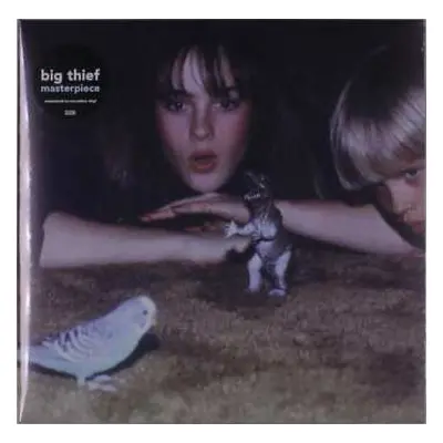 LP Big Thief: Masterpiece (eco Coloured Vinyl Edition)