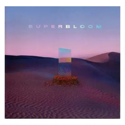 CD MisterWives: Superbloom