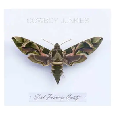 CD Cowboy Junkies: Such Ferocious Beauty