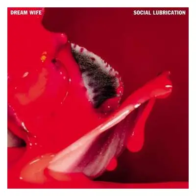 CD Dream Wife: Social Lubrication