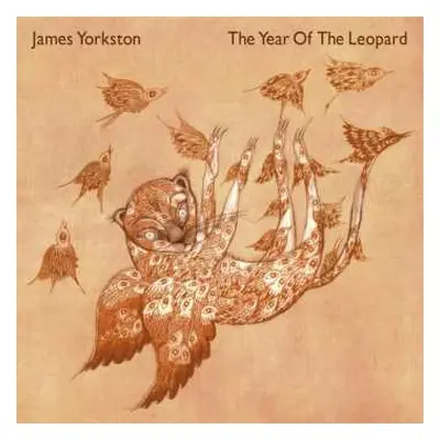 2LP James Yorkston: The Year Of The Leopard