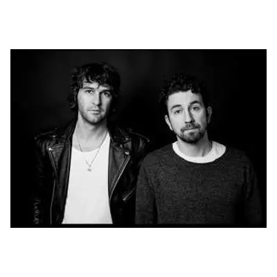 LP Japandroids: Near to the Wild Heart of Life