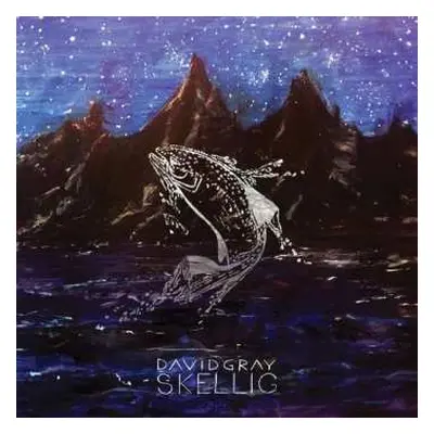 2LP David Gray: Skellig