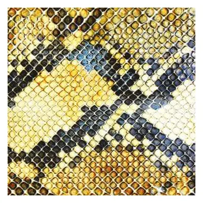 CD The Amazing Snakeheads: Amphetamine Ballads