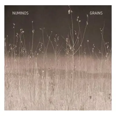 LP Numinos: Grains