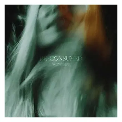 CD Vagrants: Be Consumed