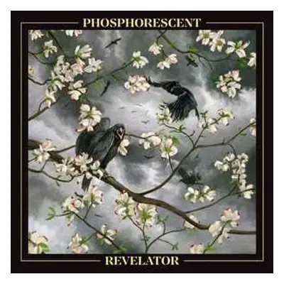 LP Phosphorescent: Revelator