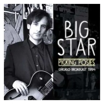 CD Big Star: Picking Posies