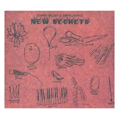 CD Dennis Callaci: New Secrets