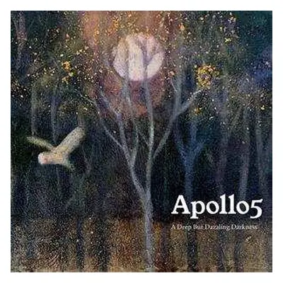 CD Apollo5: A Deep But Dazzling Darkness