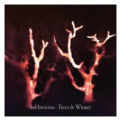 CD Sol Invictus: Trees In Winter DIGI