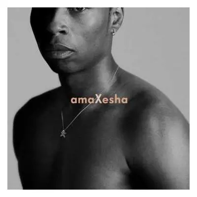 CD Bongeziwe Mabandla: Amaxesha