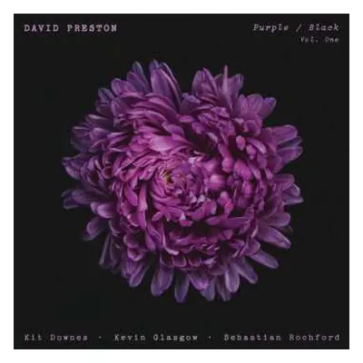 LP David Preston: Purple / Black Vol 1