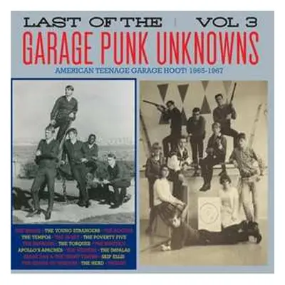 LP Various: Last Of The Garage Punk Unknowns Vol.3