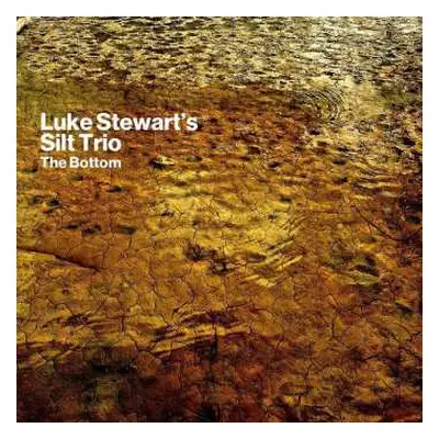 CD Luke Stewart's Silt Trio: The Bottom