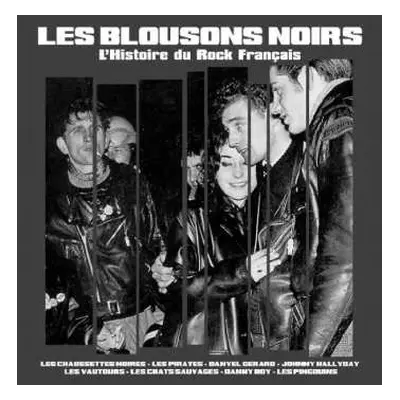 LP Various: Les Blousons Noirs - L'Histoire Du Rock Français