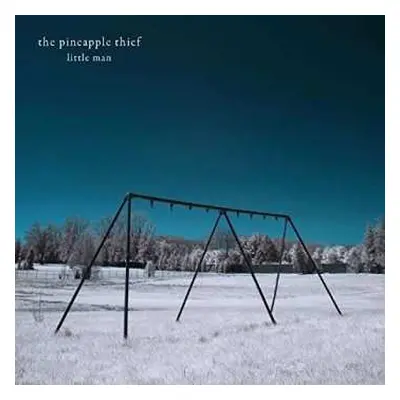 CD The Pineapple Thief: Little Man