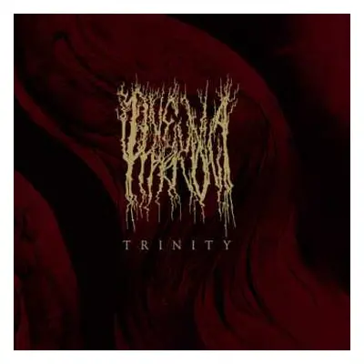 CD Pneuma Hagion: Trinity LTD