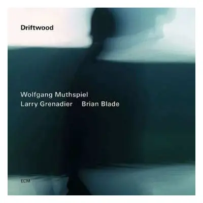 CD Brian Blade: Driftwood