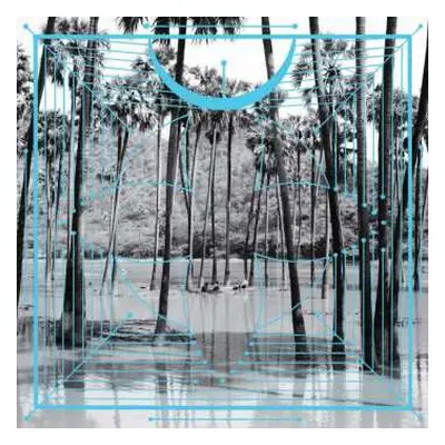 2LP Four Tet: Pink