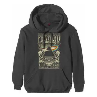 Pink Floyd Unisex Pullover Hoodie: Carnegie Hall Poster (x-small) XS