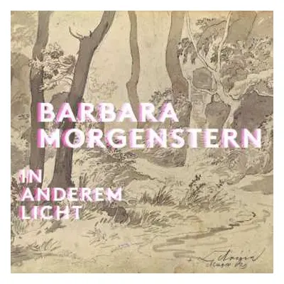 2LP Barbara Morgenstern: In Anderem Licht