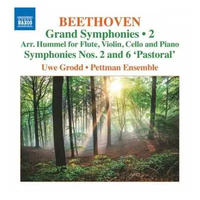 CD Ludwig van Beethoven: Grand Symphonies • 2