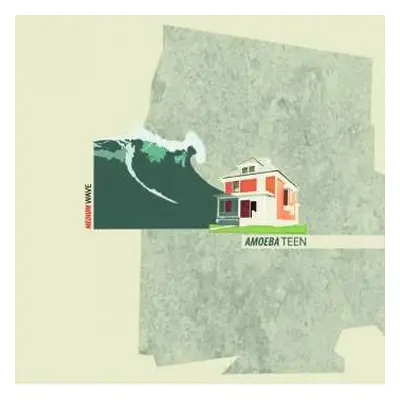 CD Amoeba Teen: Medium Wave