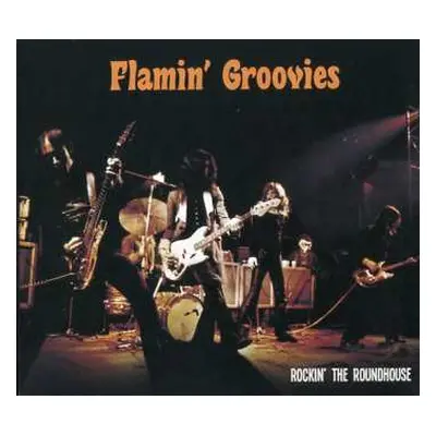 CD The Flamin' Groovies: Rockin’ The Roundhouse