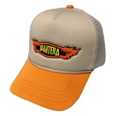 Pantera Unisex Mesh Back Cap: Flames Logo