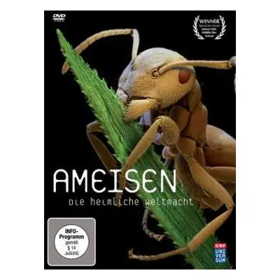 DVD Various: Ameisen - Die Heimliche Weltmacht