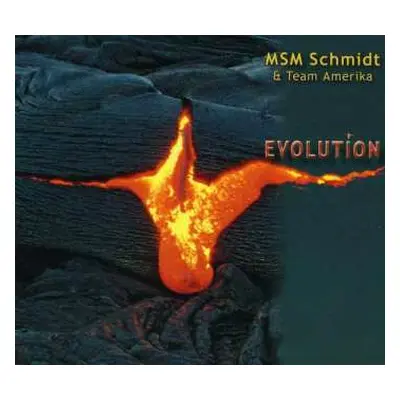 CD MSM Schmidt: Evolution