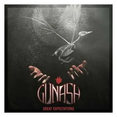 CD Gunash: Great Expectations