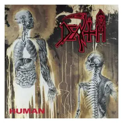 CD Death: Human