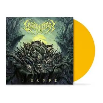 LP Laceration: I Erode Yellow Ltd.