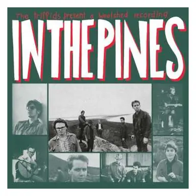 2LP The Triffids: In The Pines