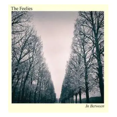 LP The Feelies: In Between