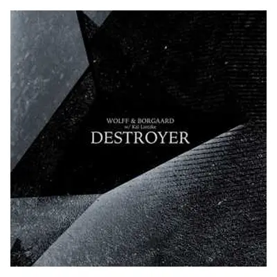 LP Wolff & Borgaard: Destroyer