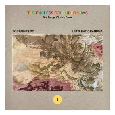 SP Fontaines D.C.: The Endless Coloured Ways: The Songs Of Nick Drake (I)