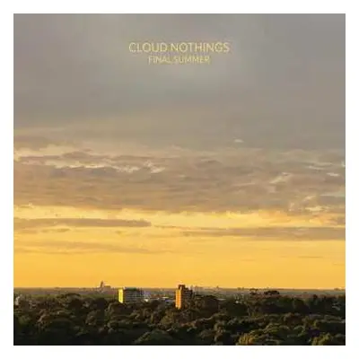 LP Cloud Nothings: Final Summer Ltd.