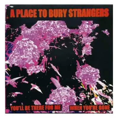 SP A Place To Bury Strangers: You'll Be There for Me / When You're Gone