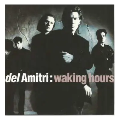 CD Del Amitri: Waking Hours