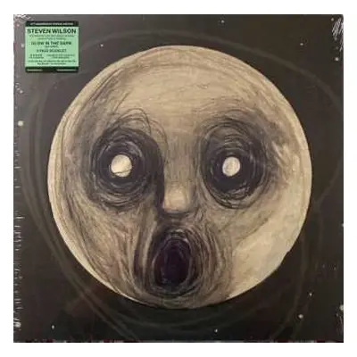 2LP Steven Wilson: The Raven That Refused To Sing (And Other Stories) CLR | LTD