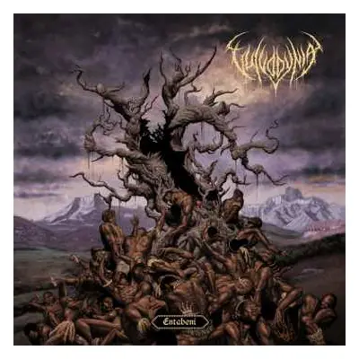 CD Vulvodynia: Entabeni