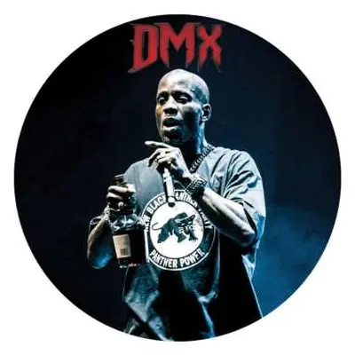 LP DMX: Greatest Hits LTD | PIC