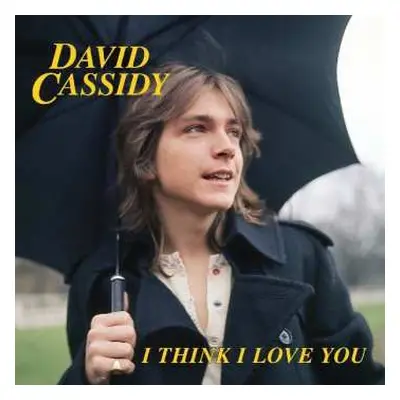 SP David Cassidy: I Think I Love You CLR | LTD