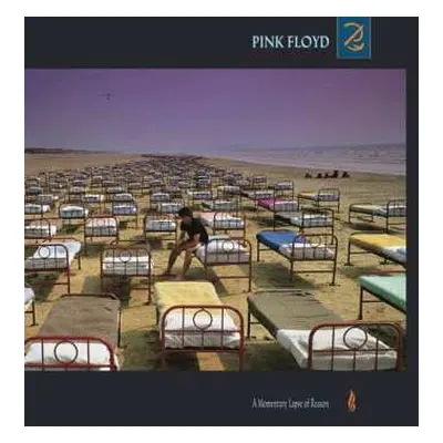 LP Pink Floyd: A Momentary Lapse Of Reason