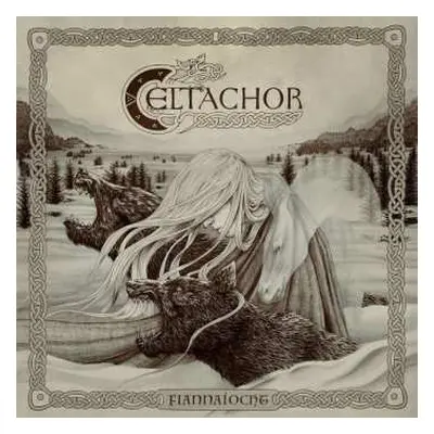 CD Celtachor: Fiannaíocht