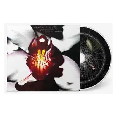 CD David Lynch: Cellophane Memories