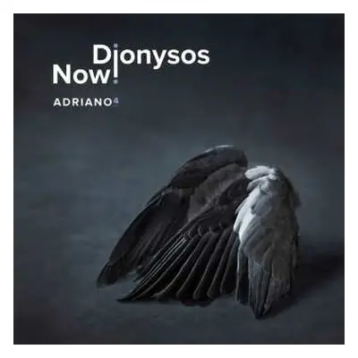 2LP Dionysos Now!: Adriano 4